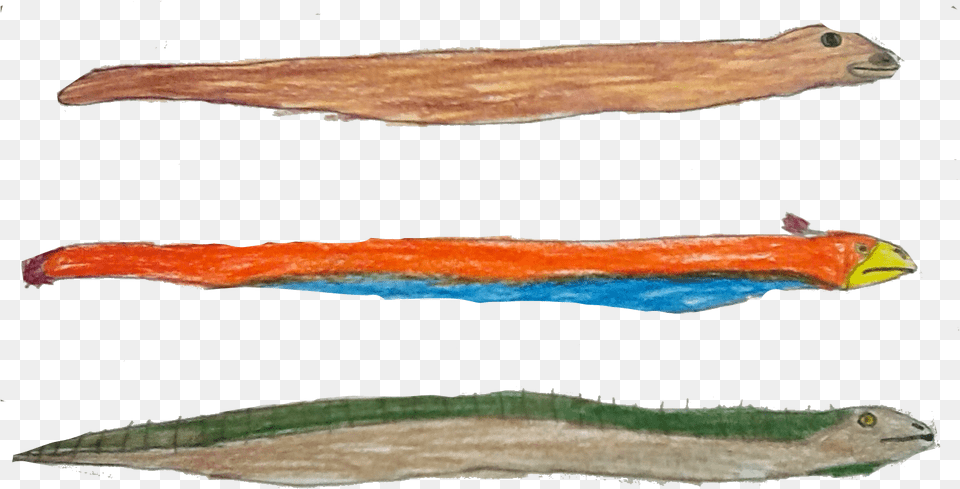 Snake Driftwood, Blade, Dagger, Knife, Weapon Free Png