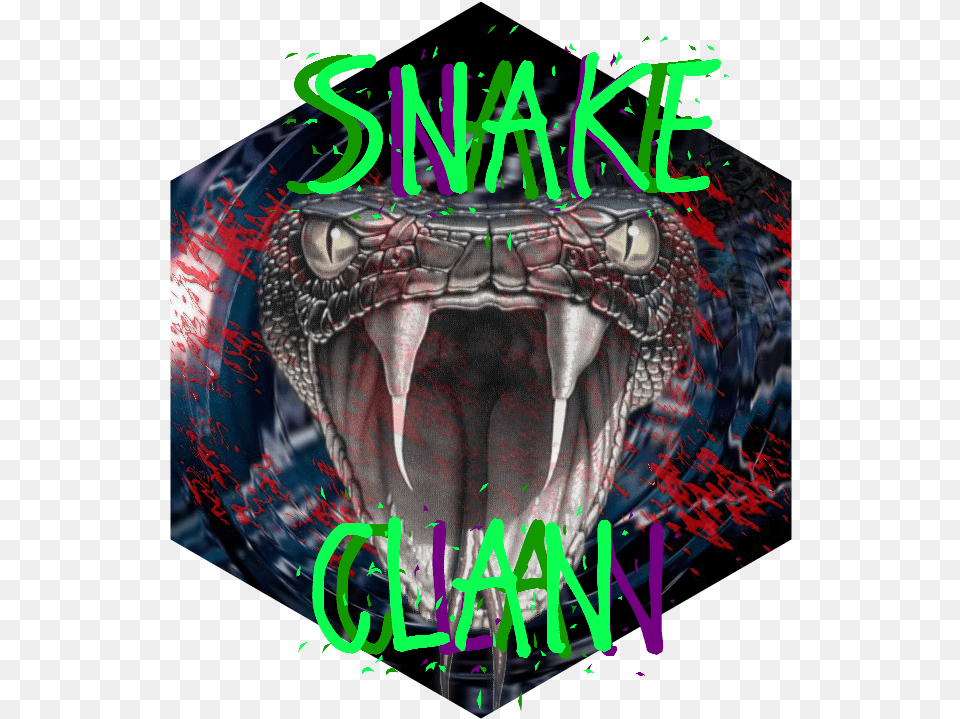 Snake Fangs Venom Poison Wallpaper Black Mamba Snake Angry, Book, Publication, Animal, Reptile Png