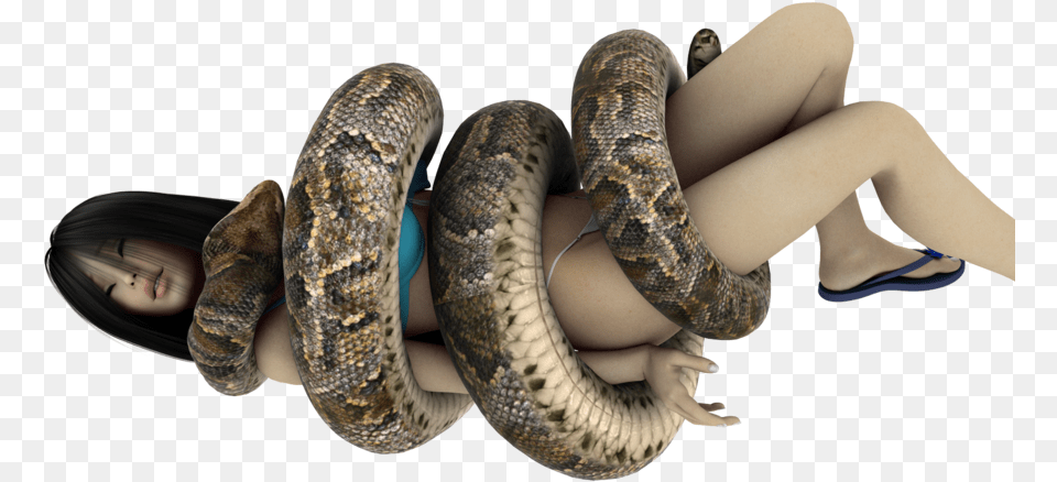 Snake Giant Anaconda Digital Art Anaconda Snake, Animal, Reptile, Rock Python, Face Free Png