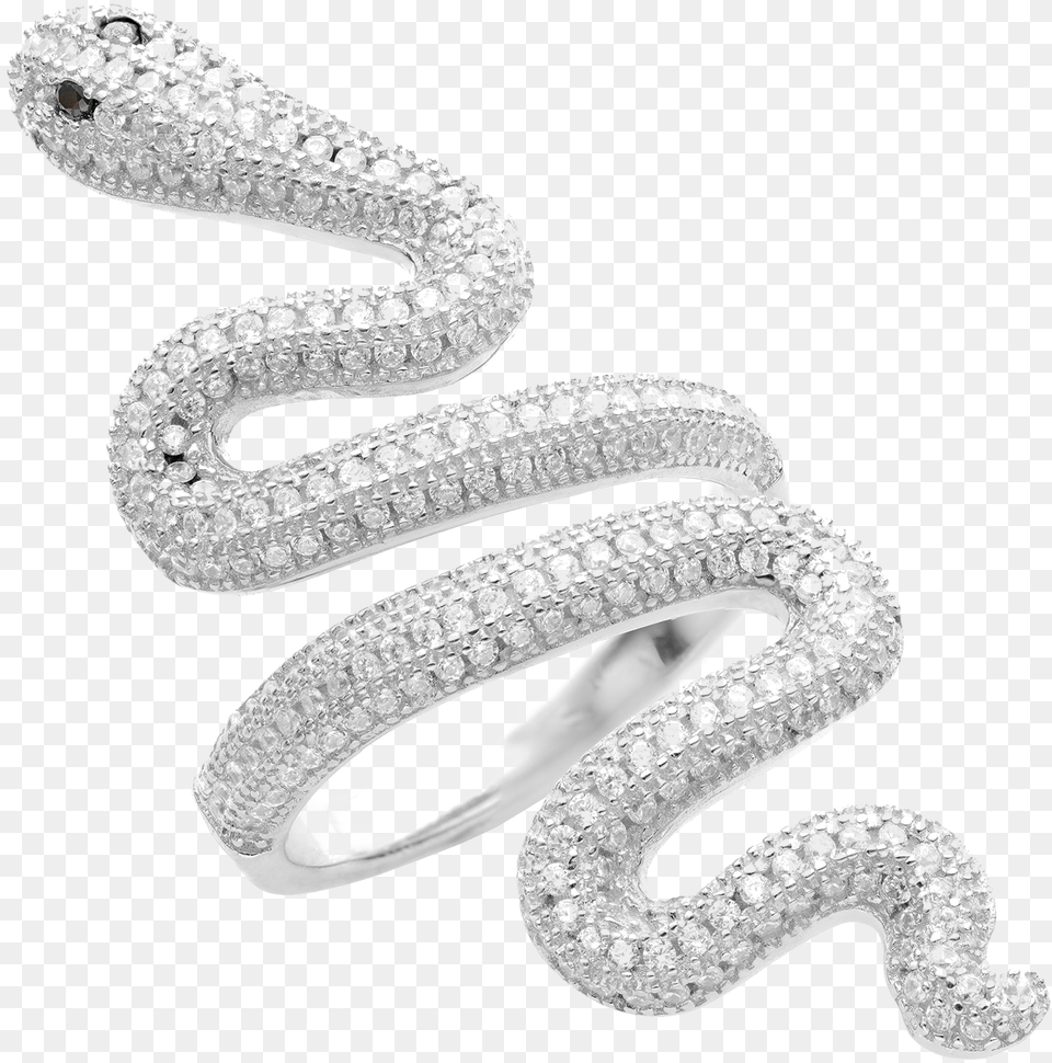 Snake Image Taylor Swift Ring Snake, Accessories, Animal, Jewelry, Reptile Free Png