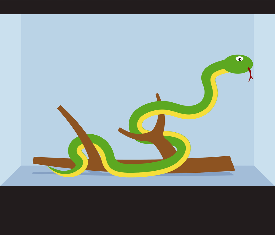 Snake In A Cage Clipart, Animal, Reptile, Green Snake Free Png