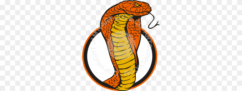 Snake In Circle In Color, Animal, Cobra, Reptile Png Image