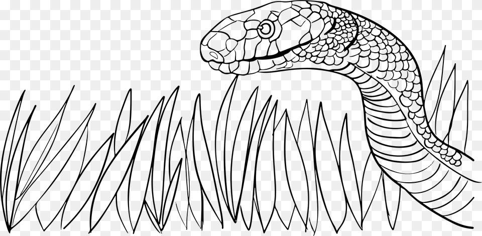 Snake In The Grass Clip Arts Grass Snake Black And White, Gray Free Png Download