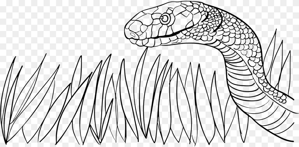 Snake In The Grass Cliparts, Gray Free Transparent Png