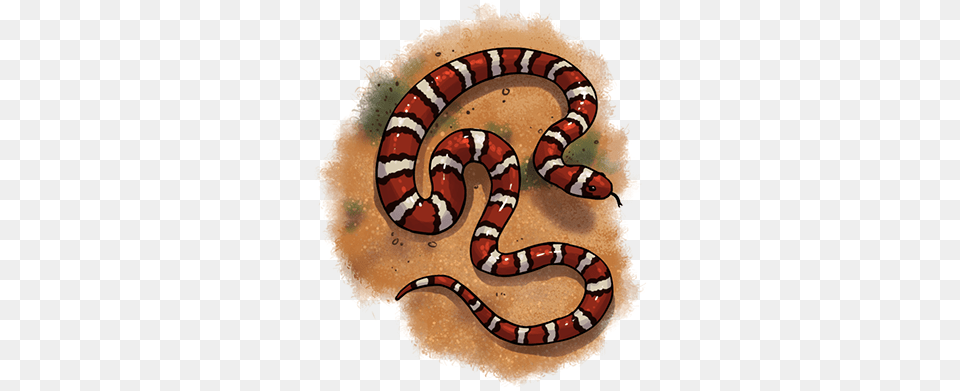 Snake Milksnake, Animal, King Snake, Reptile Free Png