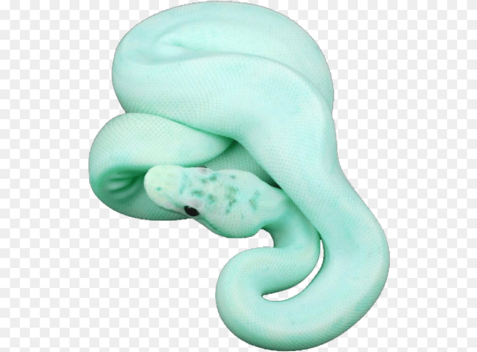Snake Pastel Aesthetic Freetoedit Pastel Blue Snake, Animal, Reptile Png