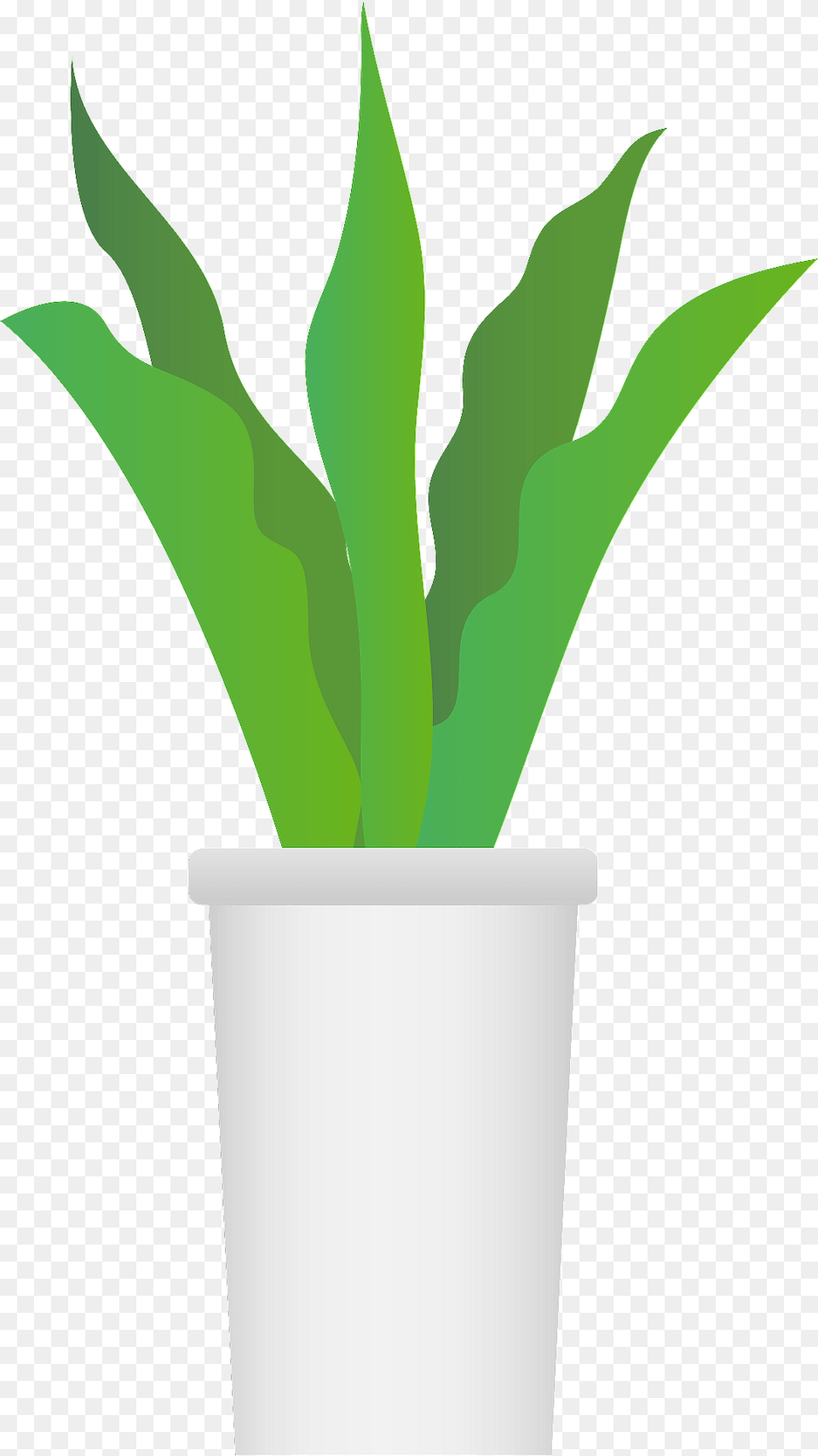Snake Plant Clipart, Jar, Leaf, Planter, Potted Plant Png Image