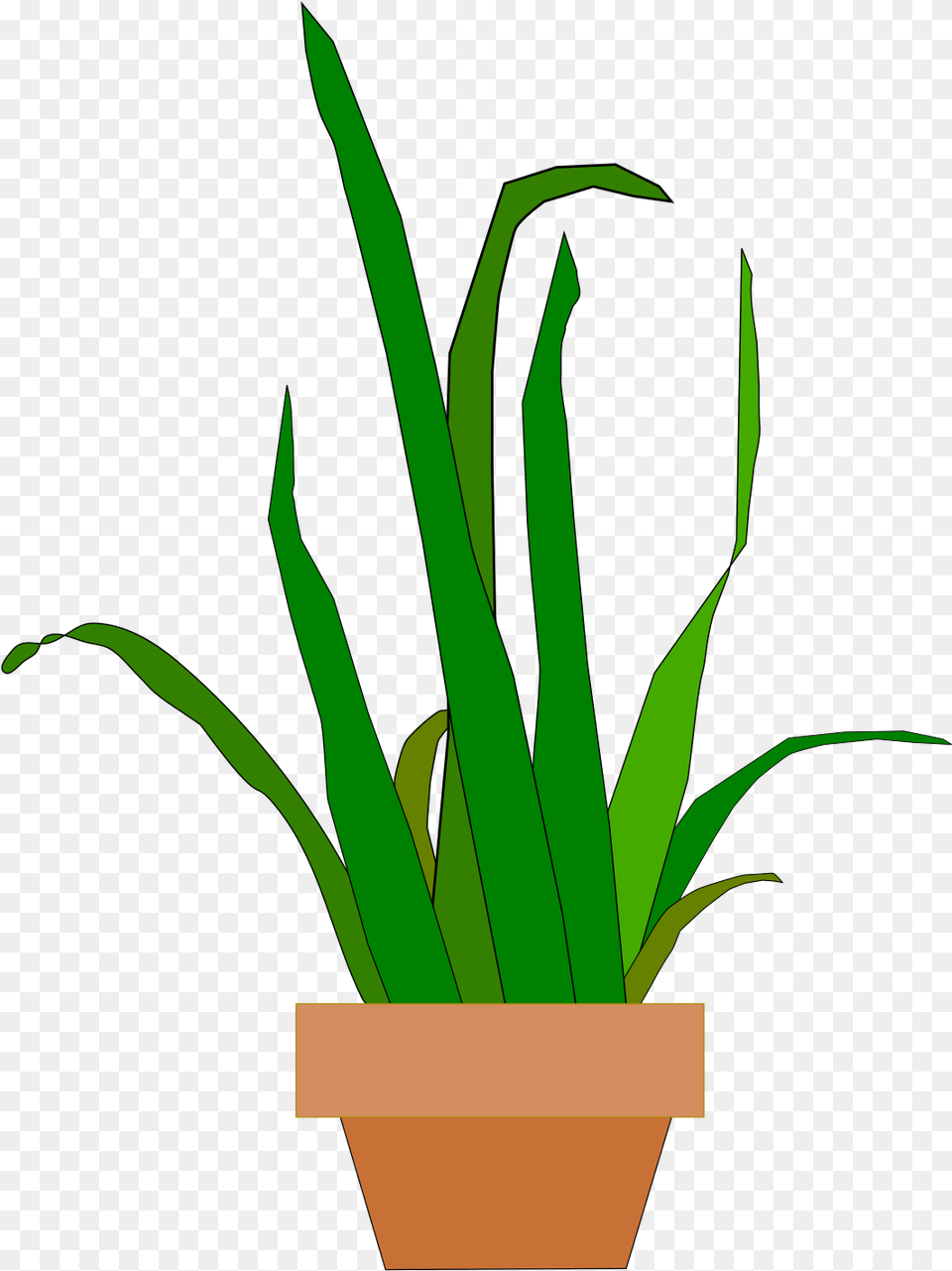 Snake Plant Svg, Leaf, Person, Potted Plant Free Png