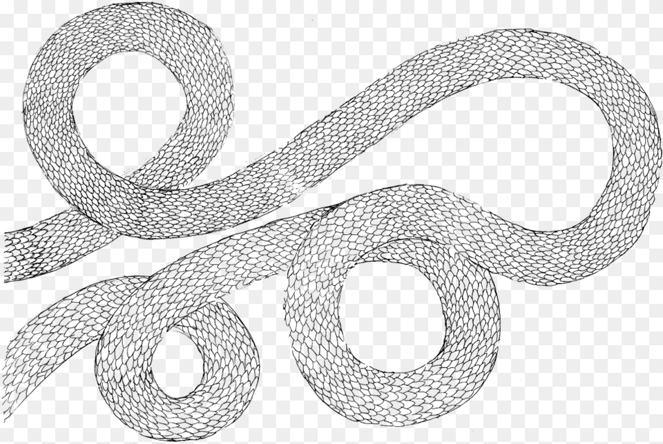 Snake Portable Network Graphics, Gray Png