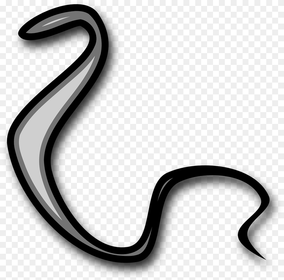 Snake Reptile Serpent Photo Snake, Electronics, Hardware Free Transparent Png