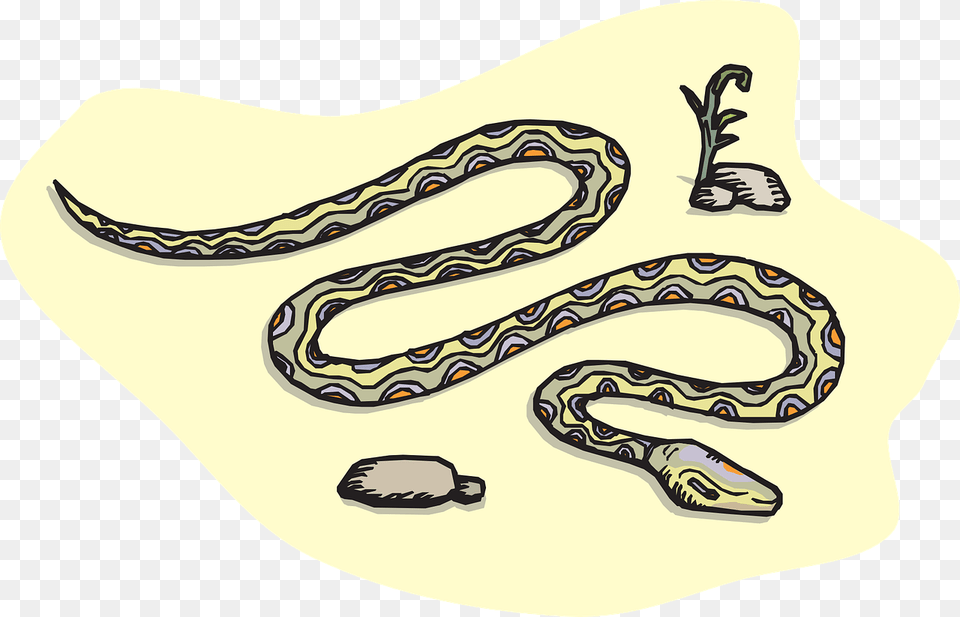 Snake Sand Rocks Photo Desert Snake Clipart, Animal, Rock Python, Reptile, Person Free Png