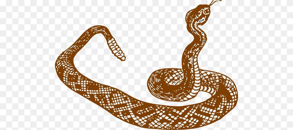 Snake Serpiente Blanco Y Negro, Animal, Reptile, Smoke Pipe Png