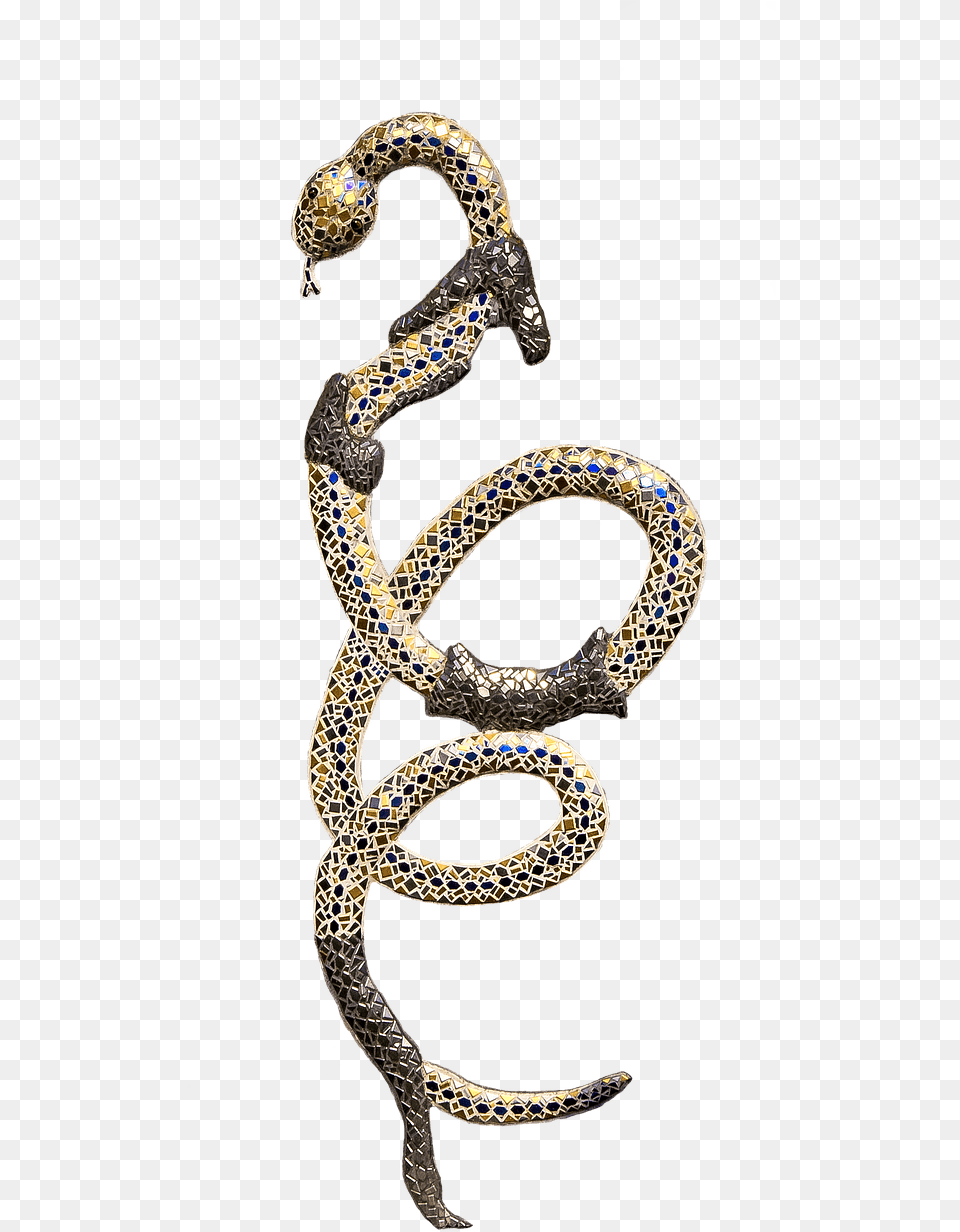 Snake Shedding Skin Gold Snake, Accessories, Earring, Jewelry, Animal Free Png Download