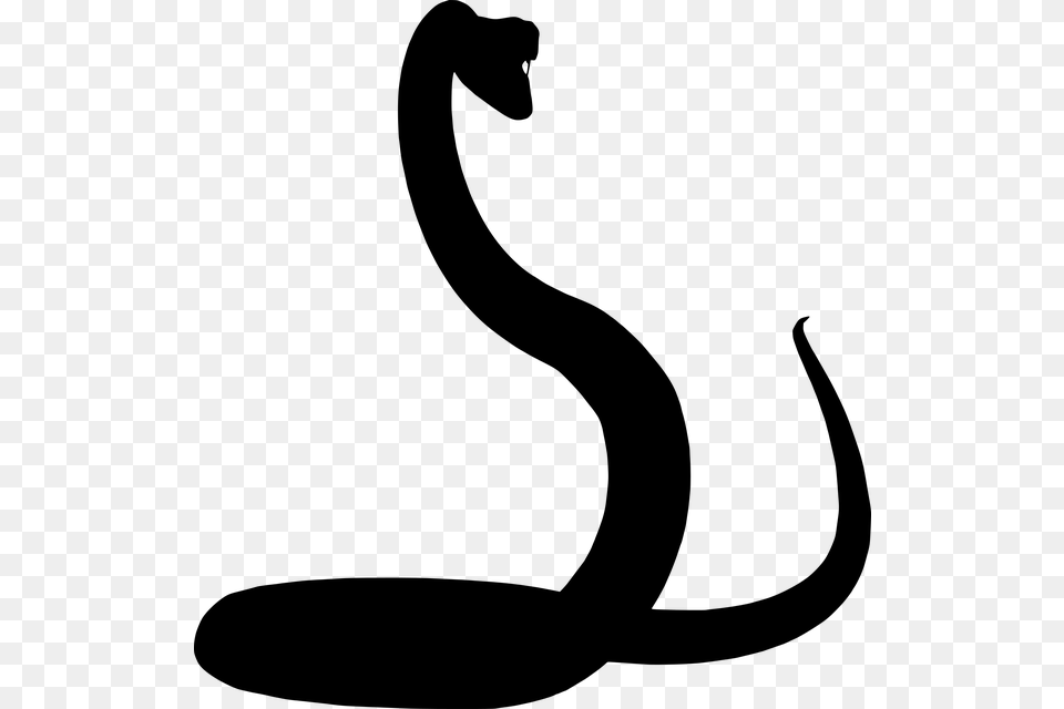 Snake Silhouette, Gray Png