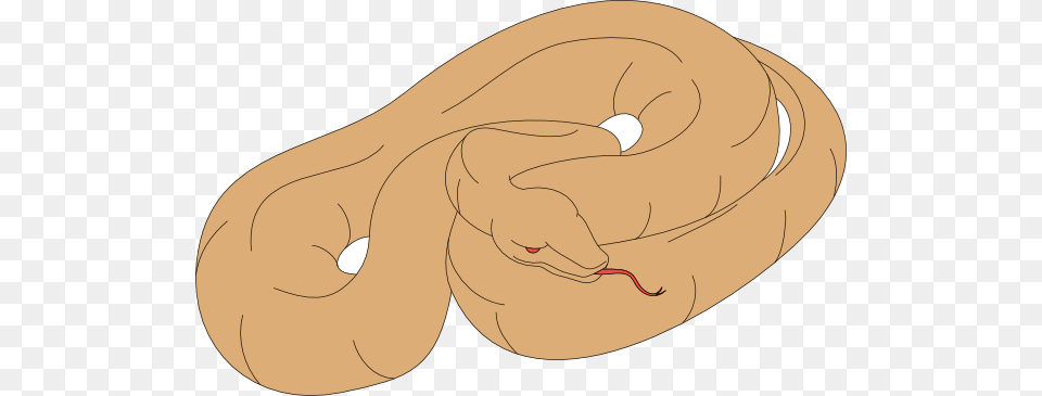 Snake Sleeping Clipart, Bread, Food, Animal, Fish Png Image