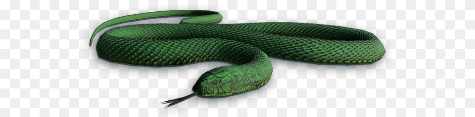 Snake Smooth Greensnake, Animal, Reptile, Green Snake Free Png