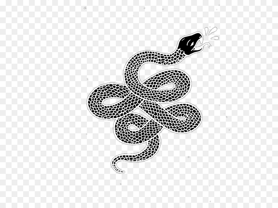 Snake Snake With No Background, Animal, Reptile, Stencil Free Transparent Png