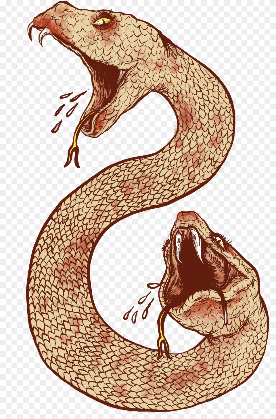 Snake Tattoo Clipart Ancient Mythical Creature Amphisbaena Png Image