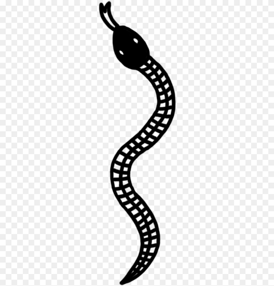 Snake Tattoo Clipart Transparent Snake Tattoo Transparent, Gray Png Image