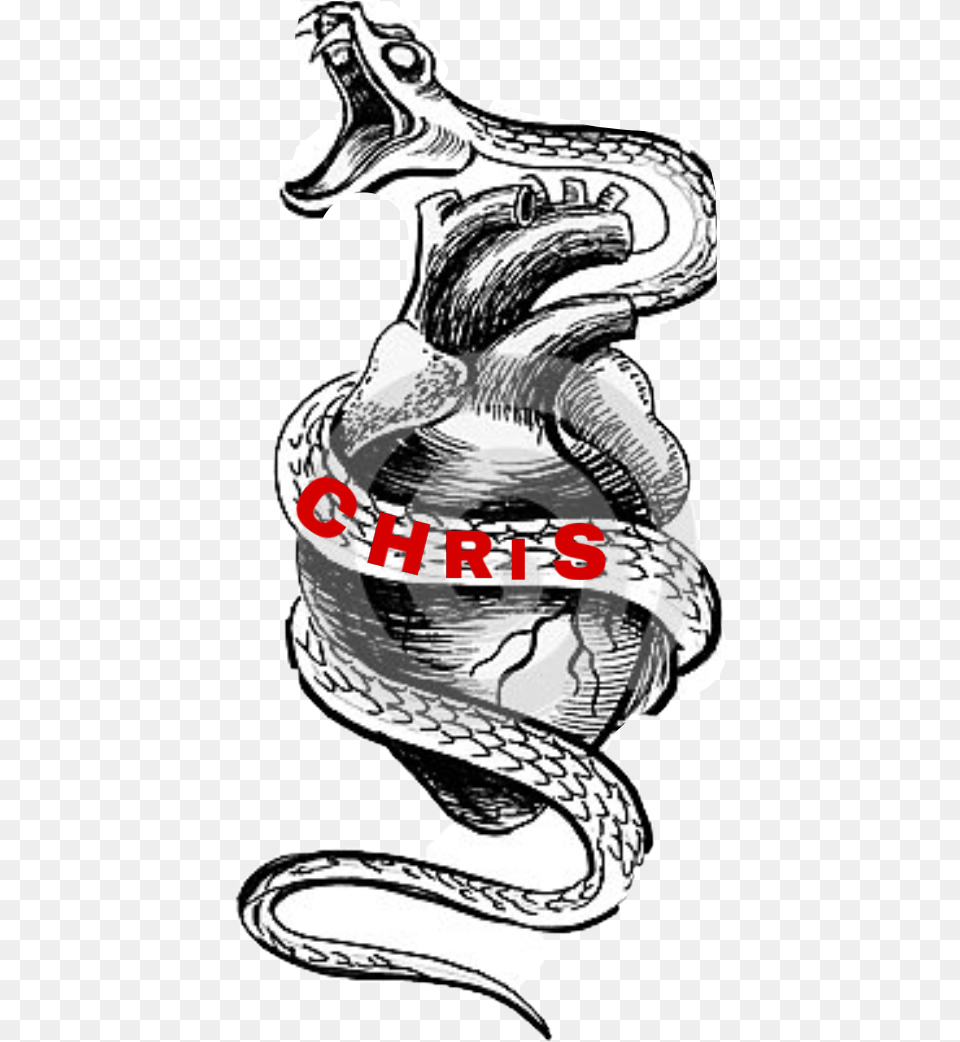 Snake Tattoo Heart Chris Sticker By Leahia Marie Scary Drawing Of Snake, Adult, Female, Person, Woman Png