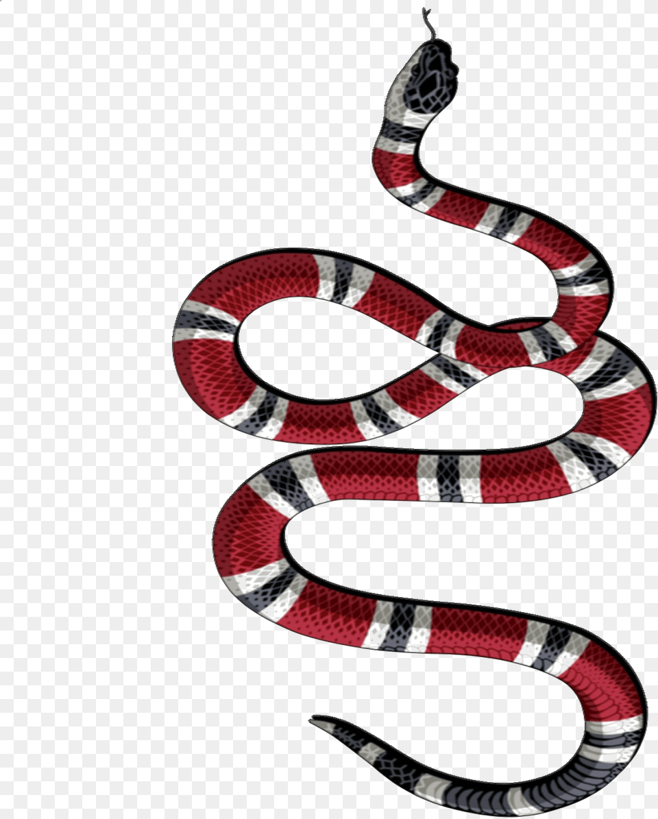 Snake Tattoo Transparent Background Gucci Snake Logo, Animal, King Snake, Reptile, Ping Pong Png Image