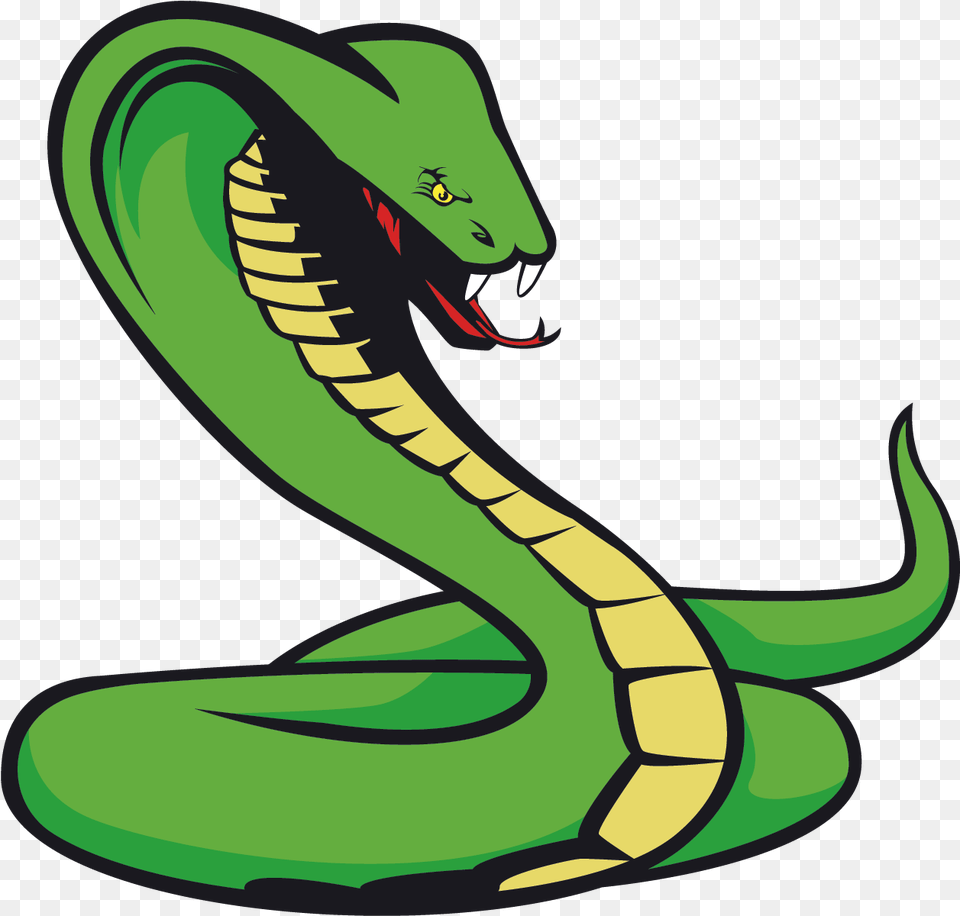 Snake Tattoo Transparent Quality Cartoon Transparent Background Snake, Animal Png