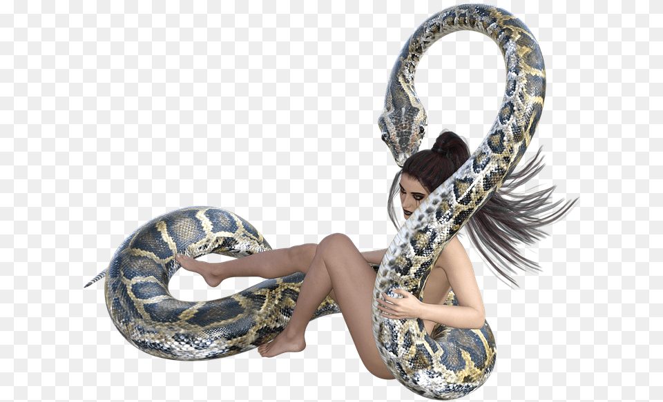 Snake Woman Anaconda Position, Animal, Reptile, Face, Head Free Png Download