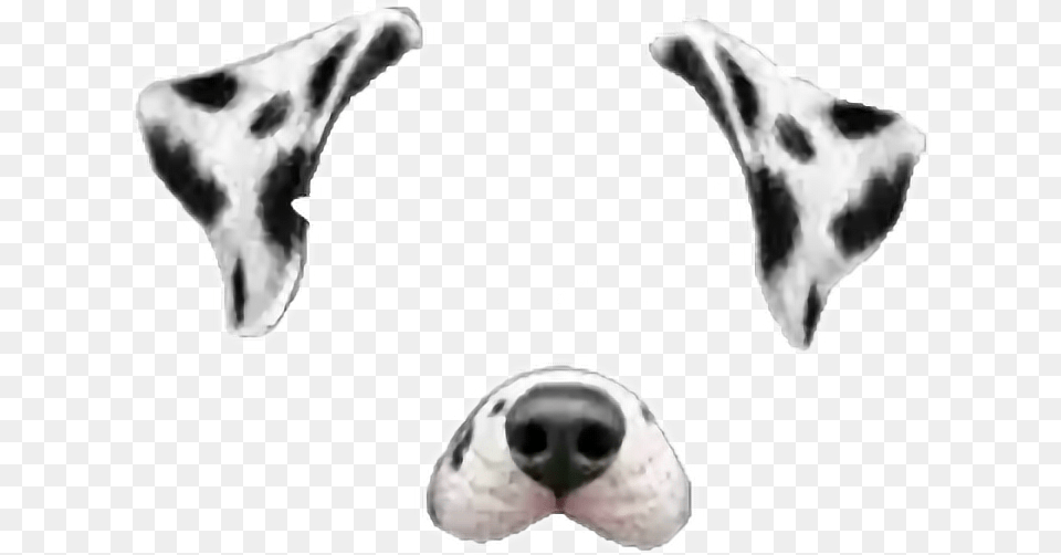 Snap Snapchat Dog Dalmata Tumblr Rose Cute Corazon Snapchat Filters Dog, Snout Free Transparent Png