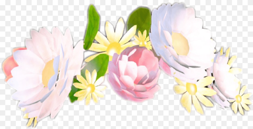 Snap Snapchat Flower Sticker By Maria Snapchat Flower Crown, Flower Arrangement, Petal, Plant, Rose Png