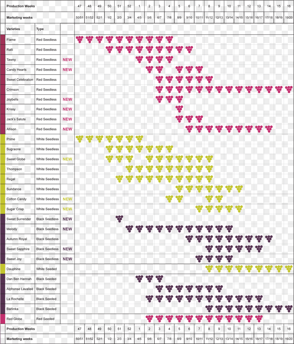 Snapchat, Chart Png Image