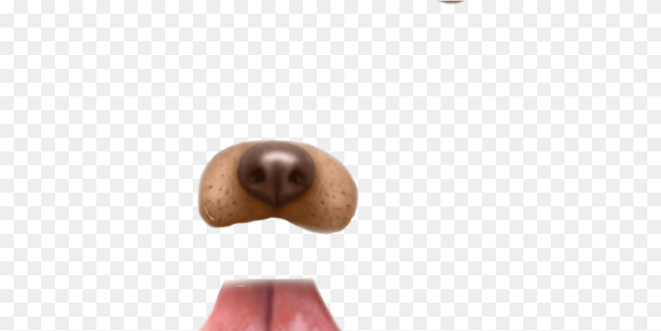Snapchat Clipart Dog Close Up, Snout, Body Part, Mouth, Person Free Transparent Png