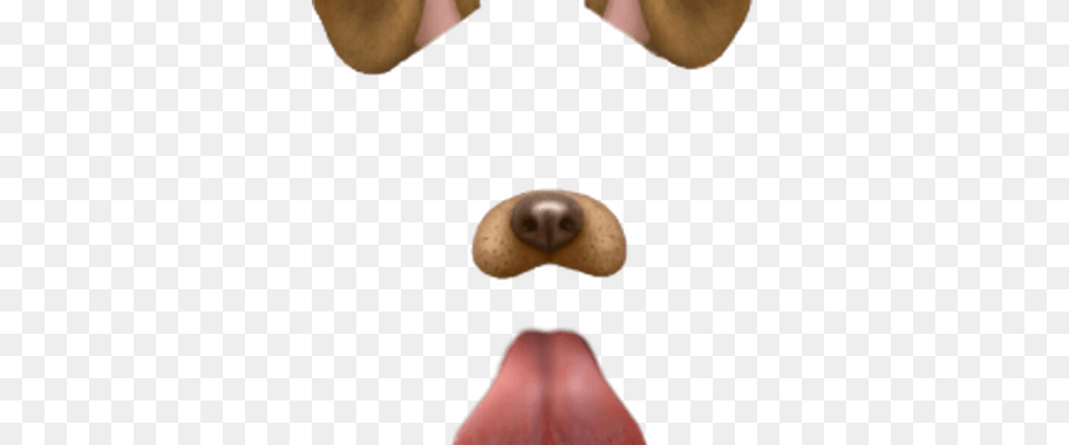 Snapchat Dog Filter, Body Part, Mouth, Person, Tongue Free Png