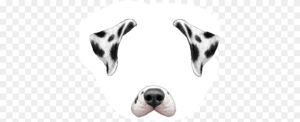 Snapchat Dog Filter, Snout, Animal, Canine, Mammal Png Image