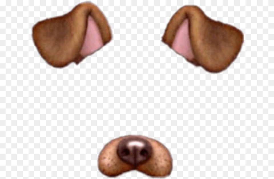 Snapchat Dog Filter, Snout, Mouth, Body Part, Person Png