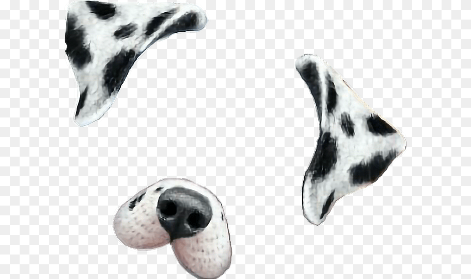 Snapchat Dog Perro Filter Dogfilter, Animal, Beak, Bird, Snout Png Image