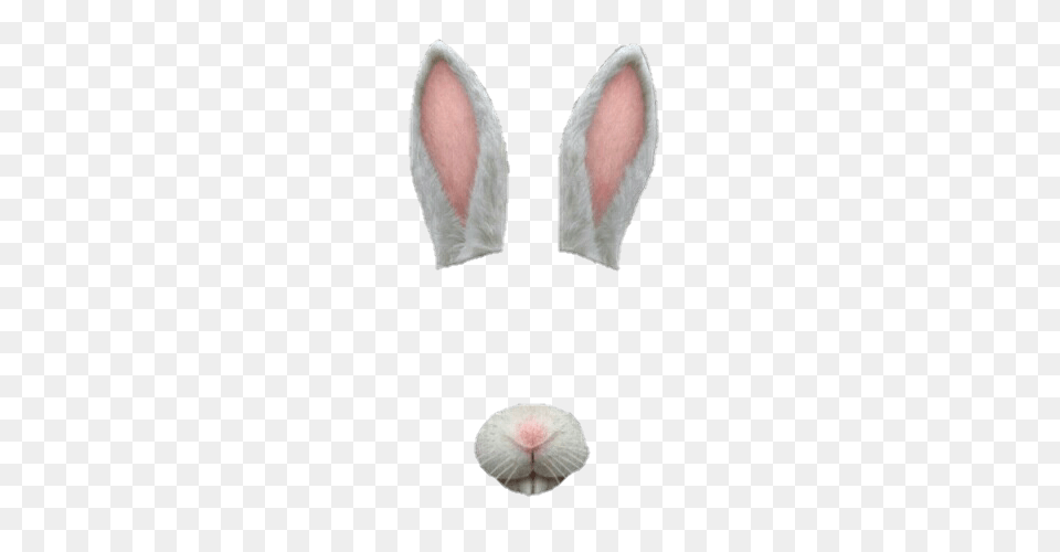 Snapchat Filter Bunny Simple, Animal, Invertebrate, Sea Life, Seashell Free Png Download