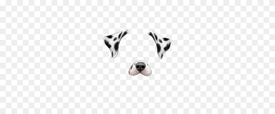 Snapchat Filter Dalmatian Dog, Animal, Beak, Bird, Snout Png