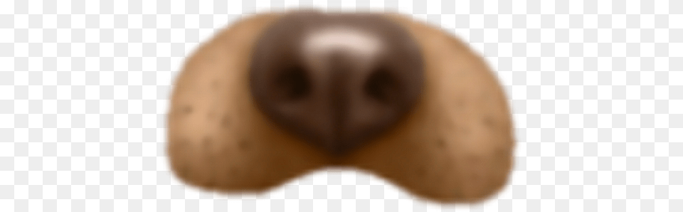 Snapchat Filter Dog Snap Chat Doggy Filter, Animal, Beak, Bird, Snout Free Transparent Png