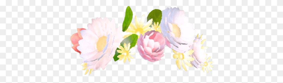 Snapchat Filter Flowers Bouquet, Flower, Petal, Plant, Daisy Free Png