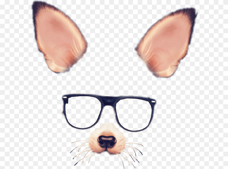 Snapchat Filters Clipart Face Snapchat Filters Cute, Accessories, Glasses, Sunglasses, Goggles Png