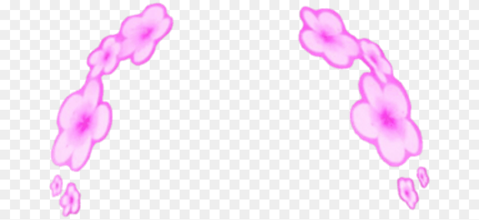 Snapchat Filters Clipart Purple Flower Pink Flower Snapchat Filter, Accessories, Plant, Petal Png Image