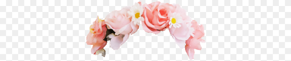 Snapchat Filters Free Transparent Flowercrown, Flower, Flower Arrangement, Petal, Plant Png