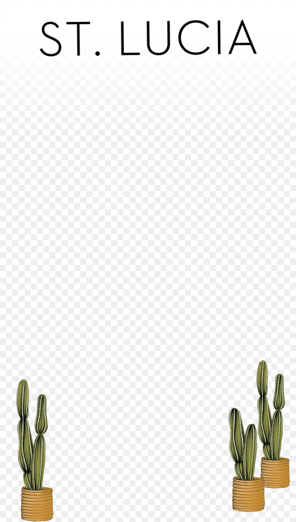Snapchat Filters San Pedro Cactus, Plant, Potted Plant Free Png
