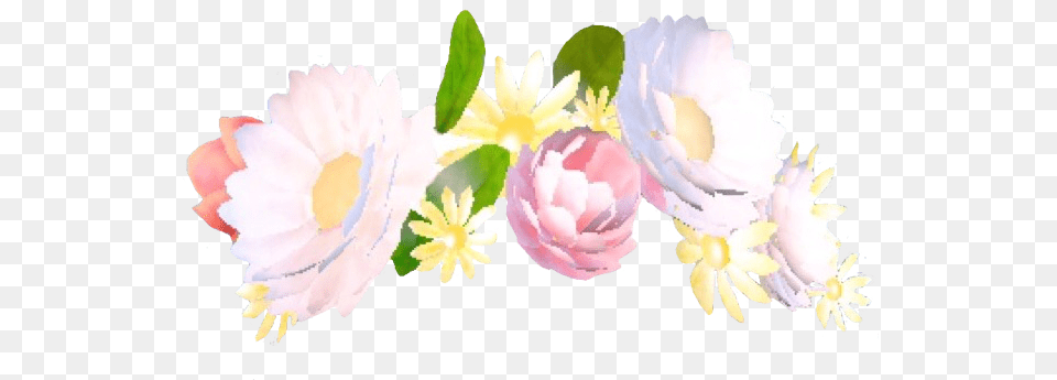 Snapchat Flower Crown Like Or Reblog If Snapchat Flower Crown Filter, Flower Arrangement, Flower Bouquet, Petal, Plant Png