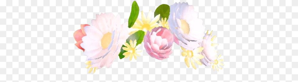 Snapchat Flower Filter Clipart Snapchat Flower Crown, Flower Arrangement, Petal, Plant, Flower Bouquet Free Transparent Png