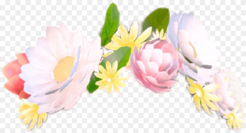 Snapchat Flowercrown Stickerfreetoedit Report Flower Crown Snapchat Filter Transparent, Flower Bouquet, Dahlia, Plant, Petal Png