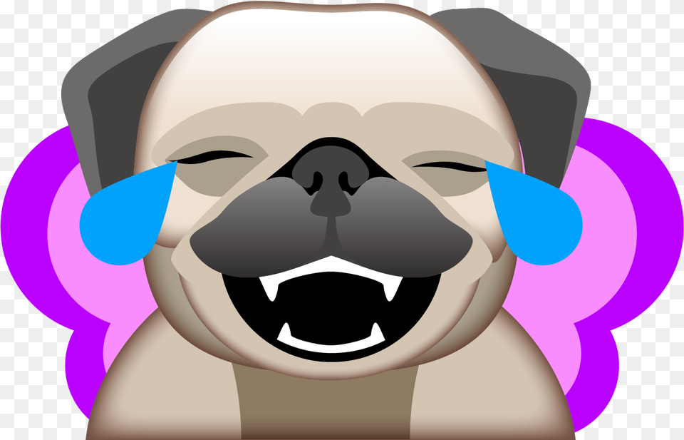 Snapchat Pug, Face, Head, Person, Baby Png Image