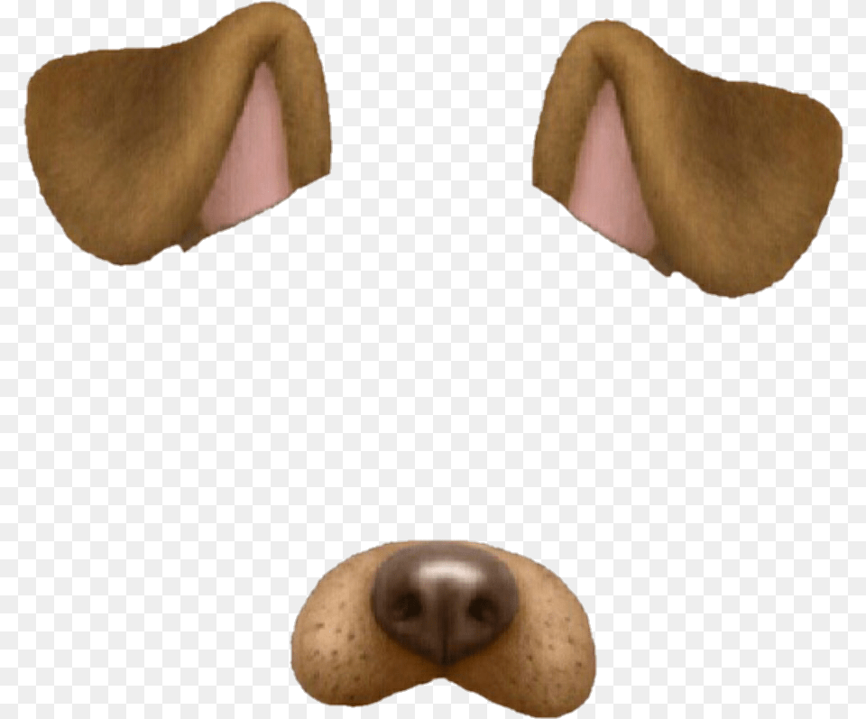 Snapchat Tumblr Overlay Dog Perro Brown Marrn Dog Ears Snapchat Filter, Snout, Animal, Beak, Bird Free Transparent Png