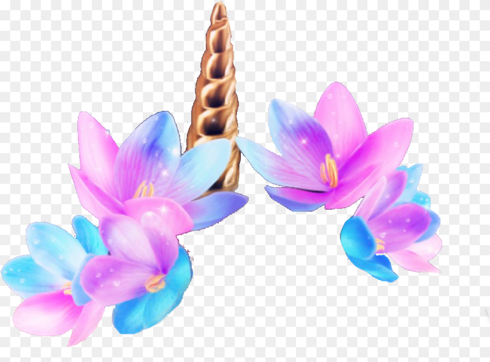 Snapchatfilter Unicorn Unicornfilter Flowercrown Sacred Lotus, Anther, Flower, Petal, Plant Free Transparent Png