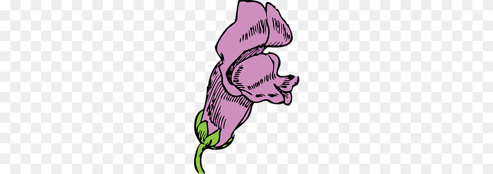 Snapdragon Flower, Plant, Purple, Baby Free Png Download